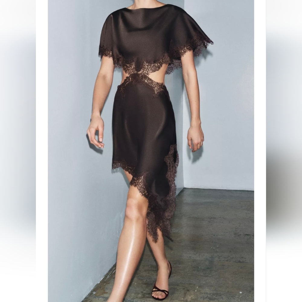 Zara ZW COLLECTION LACE CUT-OUT DRESS - Picture 5 of 10